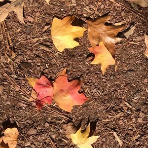 Meet your Posher, Annika